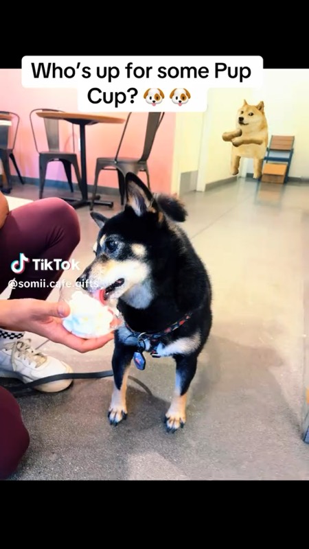 SoMii TikTok video 6